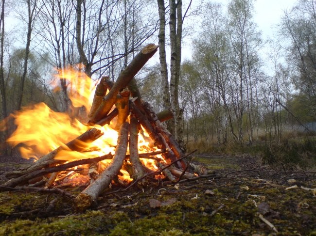 <p>ognicho! ognisko! plomien! fire!!!</p>