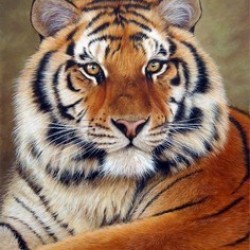 Użytkownik