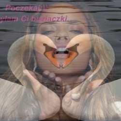 Użytkownik
