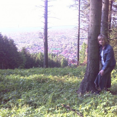 Użytkownik