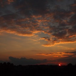 Użytkownik